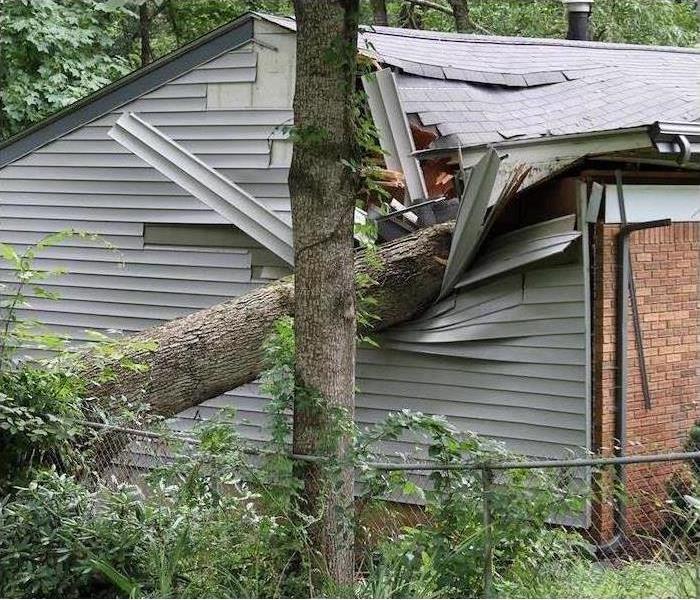 Tree fell onto a home due to strong winds of a storm