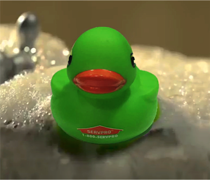 SERVPRO Rubber Duck In Water 